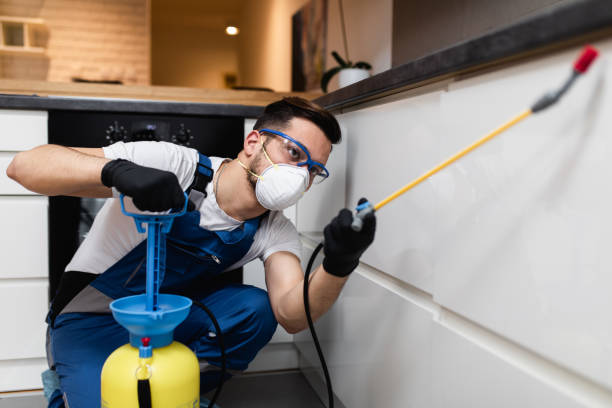 Best Residential Pest Control  in Delta, OH