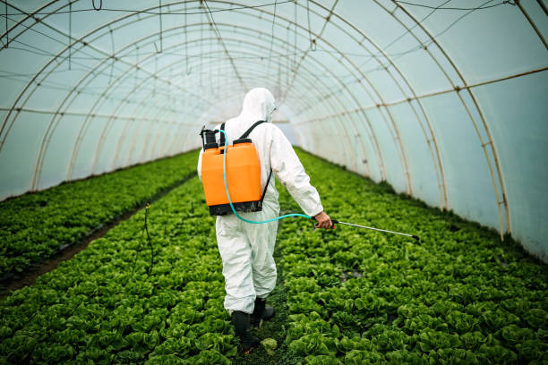 Best Pest Prevention Services  in Delta, OH