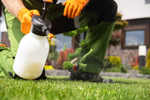 Best Flea Control Services  in Delta, OH