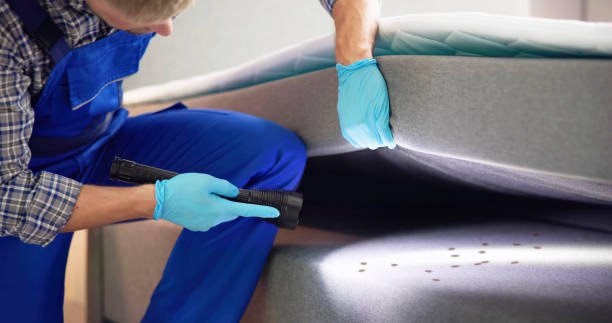 Best Best Pest Control Companies  in Delta, OH