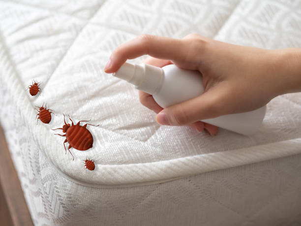 Best Commercial Pest Control Services  in Delta, OH