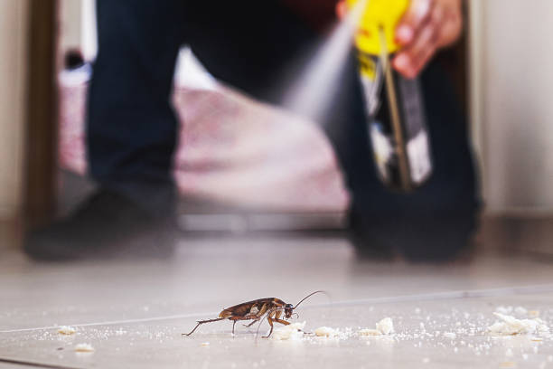 Best Termite Control Services  in Delta, OH