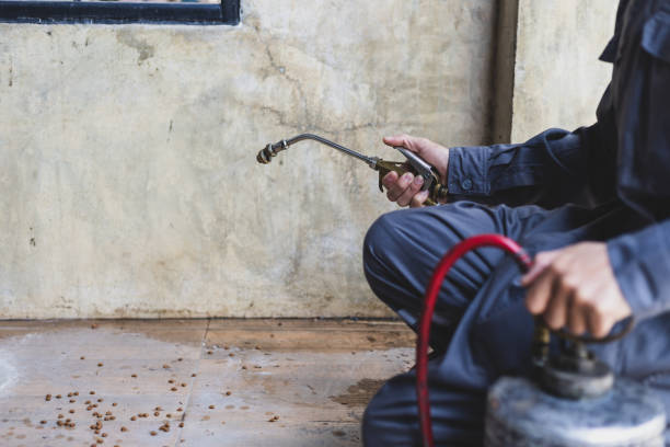 Best Mosquito Control Services  in Delta, OH