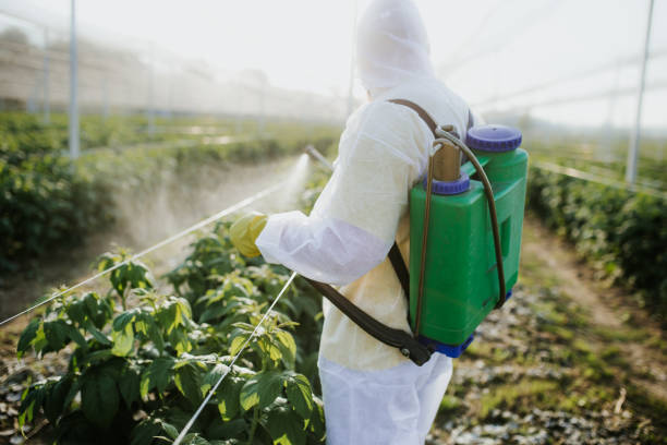 Best Wildlife Control Services  in Delta, OH
